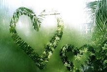 杭州第4届亚残运会开幕央视新闻客户端.