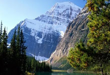 欧博abg:“十五冬”公开征集主题口号、会徽、吉祥物设计方案央视新闻客户端.